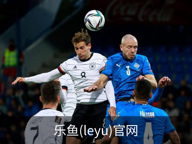 乐鱼(leyu)官网简介