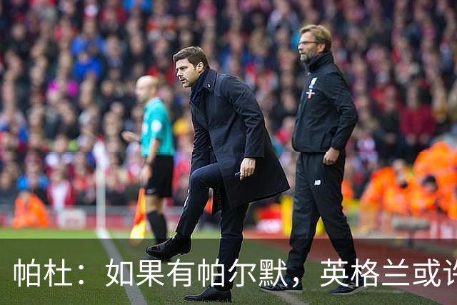 帕杜：如果有帕尔默，英格兰或许能破加纳防守